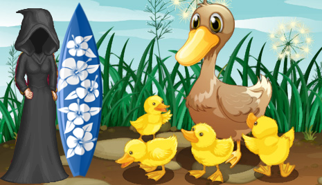 &p=duckblaster